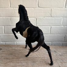 Load image into Gallery viewer, Antique Victorian Taxidermy-Style Horse Figure with Original Harness
