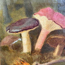 Load image into Gallery viewer, Rare Early 20th Century Mycological Oil on Canvas – Mushroom Study in Original Bird's Eye Maple Frame, circa 1930s
