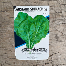 Load image into Gallery viewer, Vintage Seed Packets
