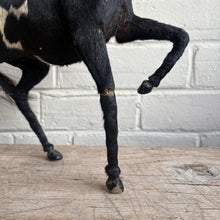 Load image into Gallery viewer, Antique Victorian Taxidermy-Style Horse Figure with Original Harness
