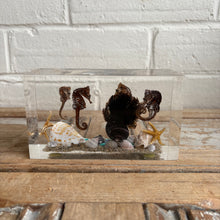 Load image into Gallery viewer, Vintage Lucite Seahorse Coastal Display Block c1970s
