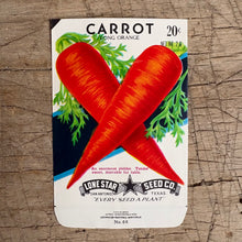 Load image into Gallery viewer, Vintage Seed Packets
