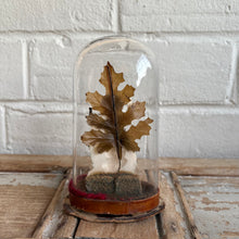 Load image into Gallery viewer, Rare Petite Victorian Wax Figure Under Glass Dome c.1880

