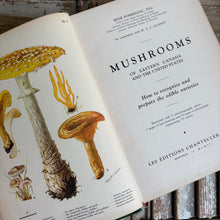 Load image into Gallery viewer, Rare Mushrooms of Eastern Canada and the United States Book c1951
