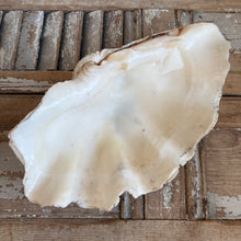 Load image into Gallery viewer, Large Natural Vintage Clam Shell
