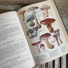 Load image into Gallery viewer, Rare Mushrooms of Eastern Canada and the United States Book c1951
