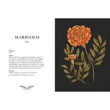 Load image into Gallery viewer, Floriography: An Illustrated Guide to the Victorian Language of Flowers
