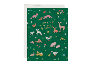 Tiny Animals Baby Card by Red Cap Cards