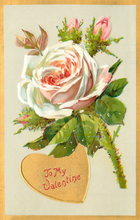 Load image into Gallery viewer, Blackbird Vintage Postcards
