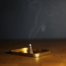 Load image into Gallery viewer, Commonwealth Provisions Eucalyptus Sea Salt Incense Cones
