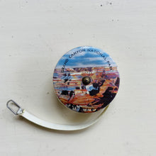 Load image into Gallery viewer, Vintage Celluloid Souvenir Travel Measuring Tape
