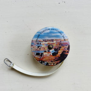 Vintage Celluloid Souvenir Travel Measuring Tape