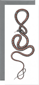 Paradise Flying Snake Greeting Card