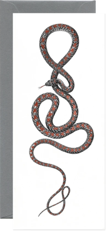 Paradise Flying Snake Greeting Card