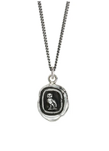 Load image into Gallery viewer, Pyrrha Watch Over Me Talisman Necklace
