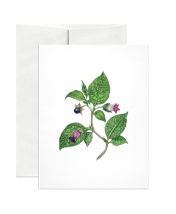 Deadly Nightshade Greeting Card and Envelope by Open Sea Design Co