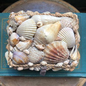 Vintage Shell Trinket /Jewel Box