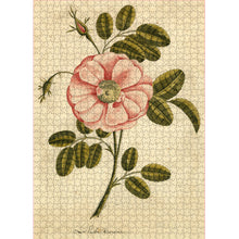 Load image into Gallery viewer, John Derian Garden Rose 1000-Piece Puzzle
