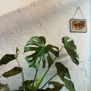 Flower Market - Botanical Style at Home by Michelle Mason
