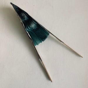 French Champagne Advertising Fan