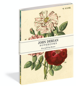 John Derian Everything Roses Set/3 Notebooks