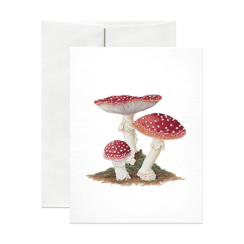 Amanita Muscaria Card