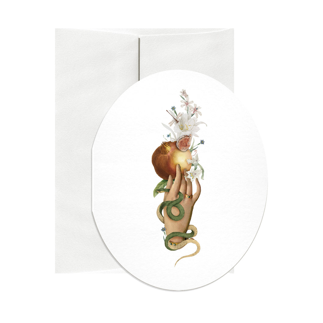 Fig Oval Greeting Card by Open Sea Design Co. in New York