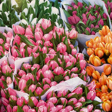 Load image into Gallery viewer, Flower Market - Botanical Style at Home by Michelle Mason

