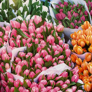 Flower Market - Botanical Style at Home by Michelle Mason