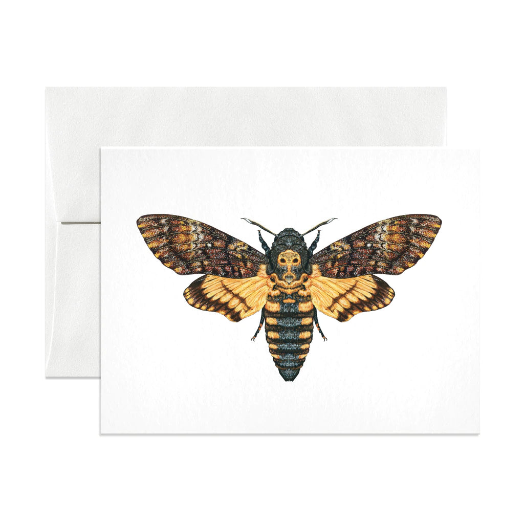 Death’s Head Moth Greeting Card by Open Sea Design