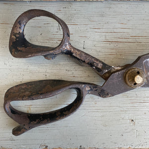 Antique Tailor Shears