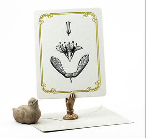Flowers Letterpress Card + Envelope