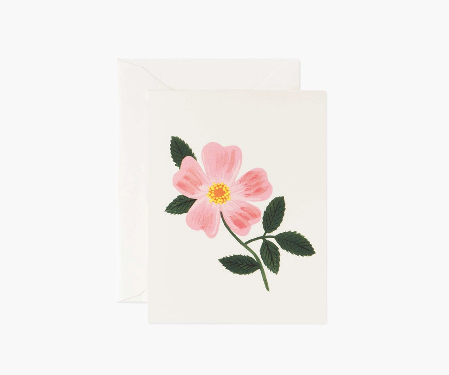 Wild Prairie Rose Card