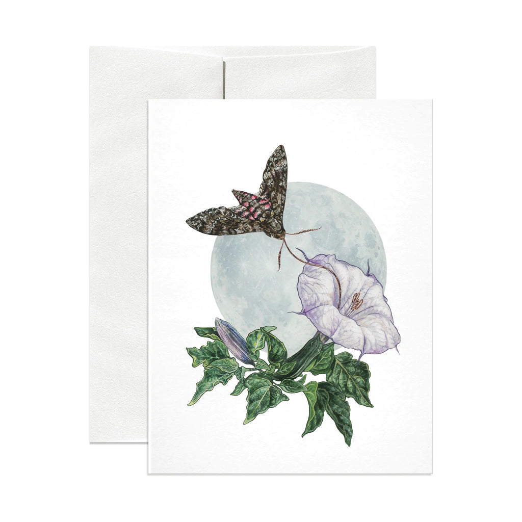 Datura Greeting Card