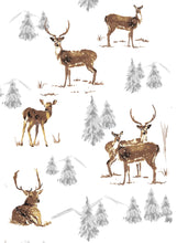 Load image into Gallery viewer, Maison Lorrain Winter Tea Towels
