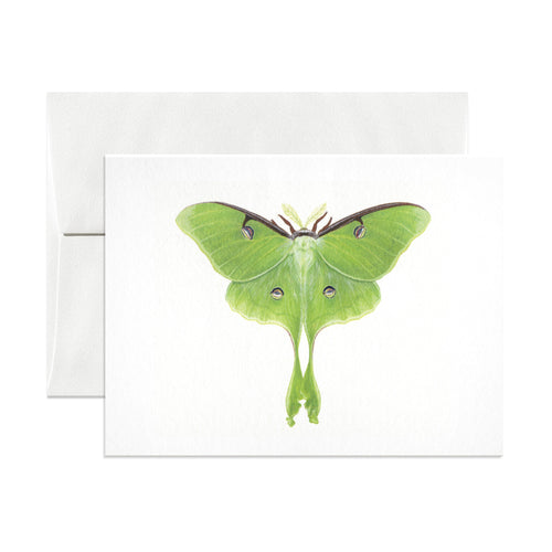 Luna Moth Greeting Card by Open Sea Design Company 