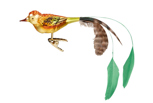 Ira Glass Bird Ornament 3.8
